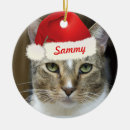 Search for santa paws ornaments Cat