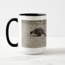 Search for tortoise mugs Nature