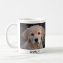 Recherche de compagnie tasses Chien père