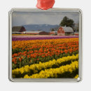 Search for valley ornaments Pattern