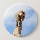 Search for baboon buttons Monkey