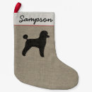 Recherche de caniche chaussette de noël Vacances