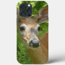 Search for white deer iphone cases Wildlife