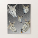Search for donkey puzzles Pet