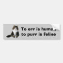 Search for kitty cat bumper stickers Kittens