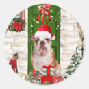 Search for english bulldog stickers Animal