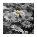 Search for black and white daisy flowers tiles Nature