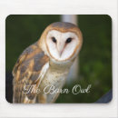 Search for barn owl electronics Owls