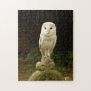 Search for barn owl puzzles Bird of prey