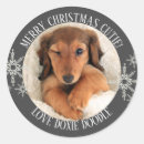 Search for from photo stickers Create your own