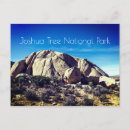 Recherche de arbre joshua cartes postales Parc national
