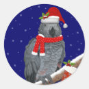 Search for african grey stickers Cute