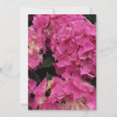 Search for beautiful blossom invitations Flowers