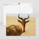 Recherche de le kenya cartes postales Masai mara