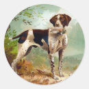 Search for pet bird stickers Vintage