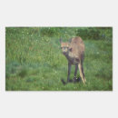 Recherche de animal faces autocollants Faune