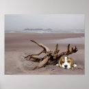 Recherche de beagles posters Dog