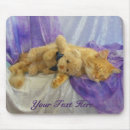 Search for kittis mousepads Kitten