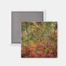 Search for pine needles magnets Nature