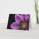 Recherche de plan rapproché Floral