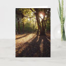 Search for light wood cards Winter