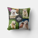 Search for dog pillows Pet