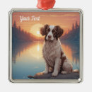Search for springer spaniel ornaments Dog