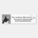 Search for animal cruelty bumper stickers Stop