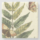 Recherche de cadre dessous de verres Noir