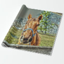 Recherche de chevaux papier cadeau Découpage