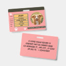 Search for one office supplies One photo id