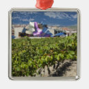 Recherche de basque ornements Alava