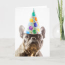 Search for french bulldog cards Animals