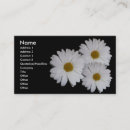 Recherche de marguerite blanche cartes visite Marguerites