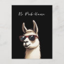 Recherche de problèmes cartes postales Animal