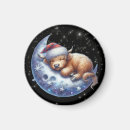 Search for highlander magnets Santa