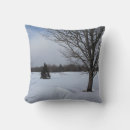 Search for winter wonderland pillows Snowy