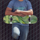Search for creative skateboards Pattern