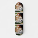 Search for nature skateboards Wild animal