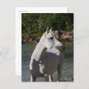 Recherche de races de cheval cartes postales Mer