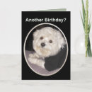 Search for maltese birthday cards Pet