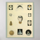 Search for optometry art Vintage