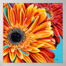 Recherche de éclat de couleur posters Fleurs