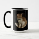 Search for cat loss mugs Sympathy
