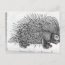 Search for epic postcards School