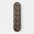Recherche de wild skateboards Pattern