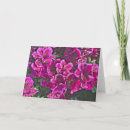 Search for wedding mothers day cards Blank