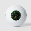 Recherche de dog golf balls Doxie