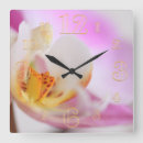 Recherche de orchids horloges Pour elle