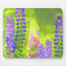 Search for lupin mousepads Flower